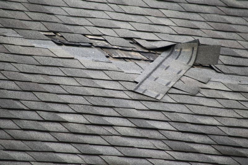 Roof Repair Solutions